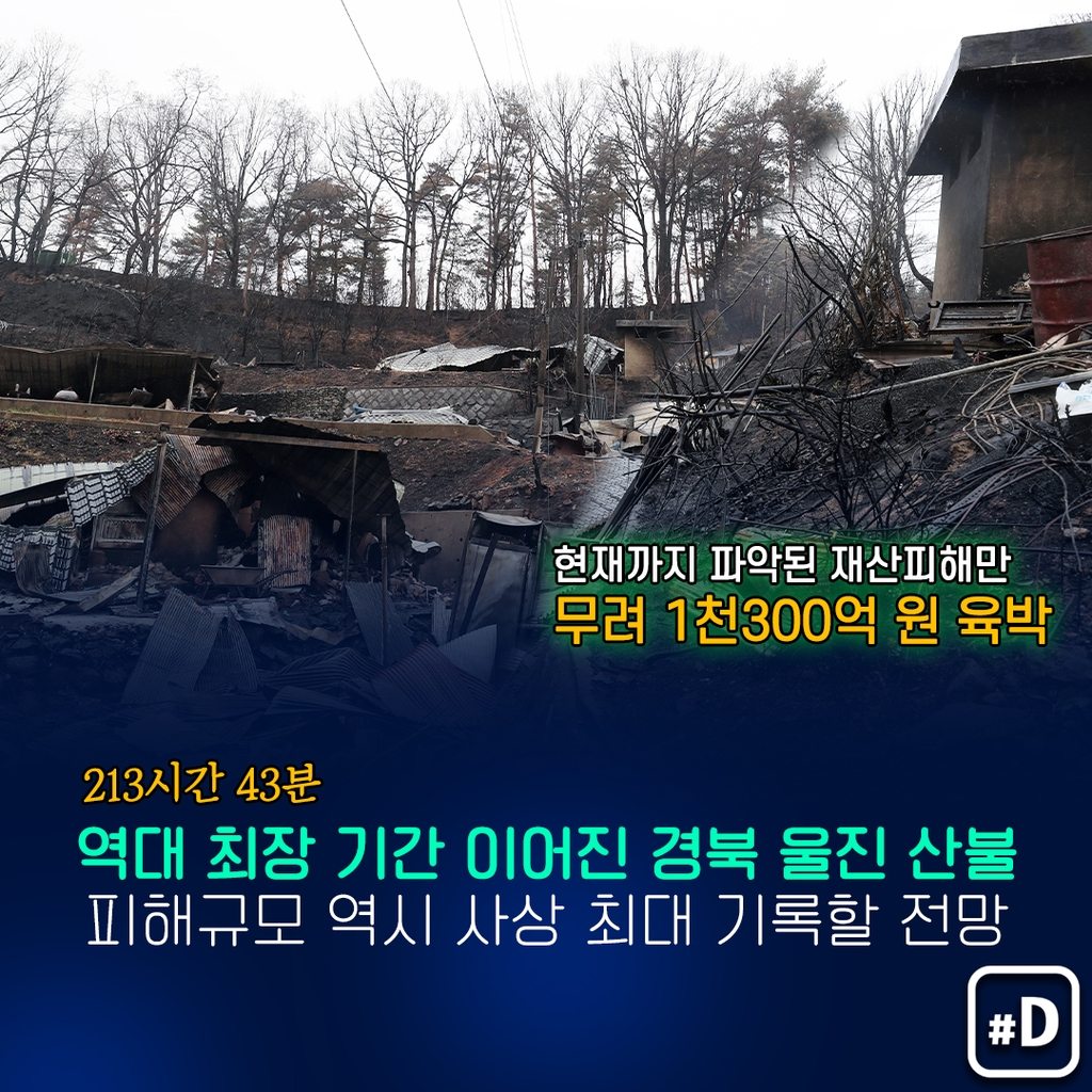 리브노트레이스