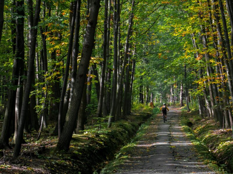 MTB, 자연과의 대화를 즐기는 산악스포츠