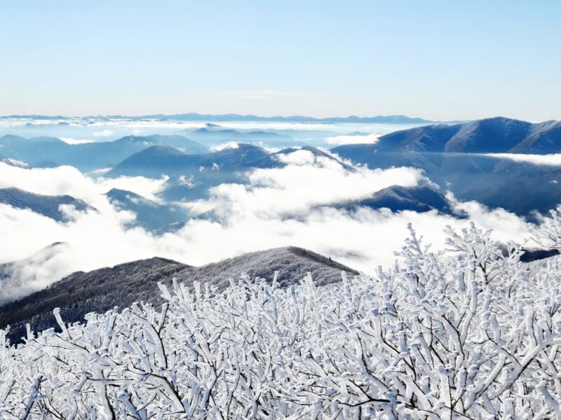 대관령이 산악스포츠에 최적지인 이유 4가지