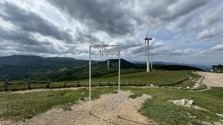 삼양라운드힐